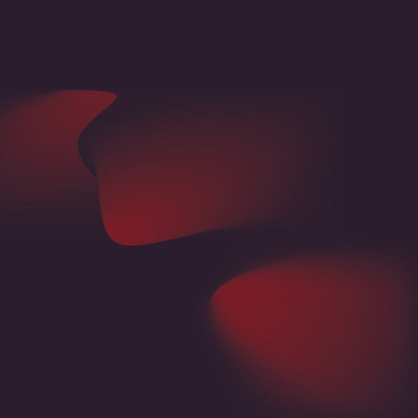 Refracted : Nothing is True, Everything is Permitted (12", EP)