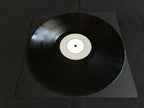 Various : Nonnative 10 (12")