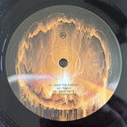 Roll Dann : Save The Energy  (12")
