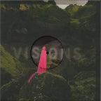 Various : Visions Pt. 1 (12", Comp)