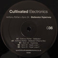 Anthony Rother X Sync 24 : Stellarator Hyperway (12")