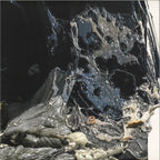 Moloch Horridus : DCX-4: Self Guard EP (12")