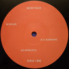 Bicep : Isles (2xLP, Album, Gat)