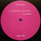 Bicep : Isles (2xLP, Album, Gat)