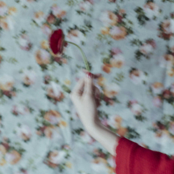 D-Leria : Not In This Life (12")