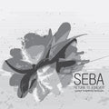 Seba : Secret Operations Reissue Vol. 4 (12", Comp)