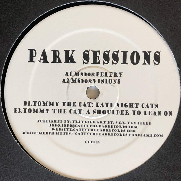 Various : Park Sessions 06  (12")