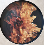 Regent (7) : Amber EP (12", EP)