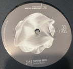Christian Wünsch : Black Sun  (2x12", Album)