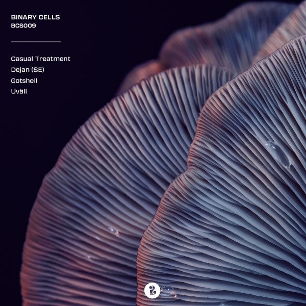 Various : BCS009 (12", Comp, Blu)