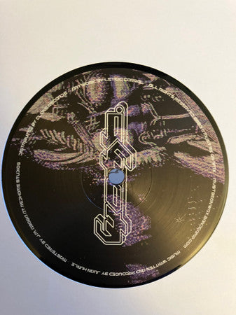 Paul Beholders : One Hit Wonder (12")