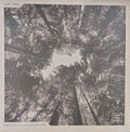 Pyramidal Decode : Isteria (12")