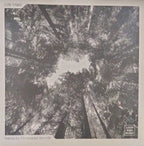 Pyramidal Decode : Isteria (12")