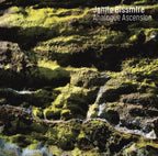 Jamie Bissmire : Analogue Ascension (12")