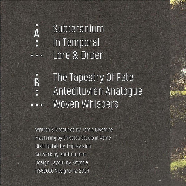 Jamie Bissmire : Analogue Ascension (12")