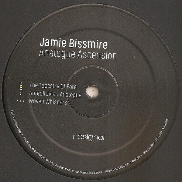 Jamie Bissmire : Analogue Ascension (12")