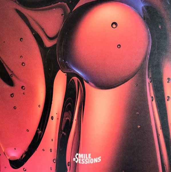 Various : Workout Sessions Vol. 2 (2x12", Comp)
