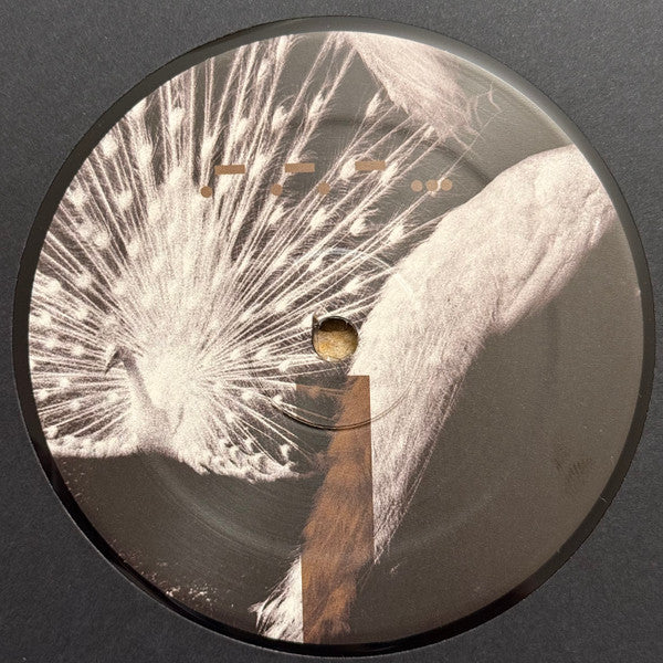 Introversion (3) : Laeddis (12", EP)