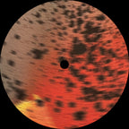 Sciahri : Pareidolia III (12")