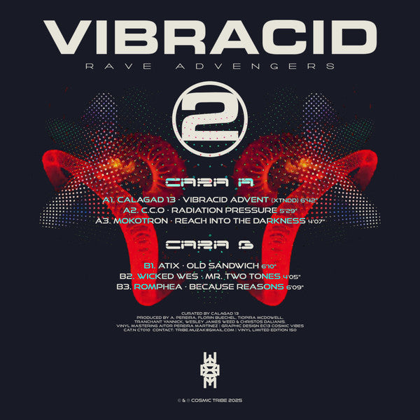Various : Vibracid 2 · Rave Advengers (12", Red)