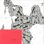 Fergus Sweetland : Secret Formula  (12")