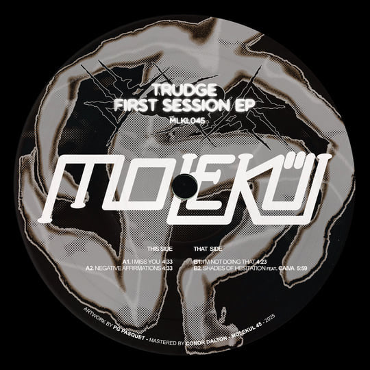 Trudge (3) : First Session EP (12", EP)