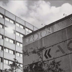 Various : Decennial Revelry (2x12", Comp)