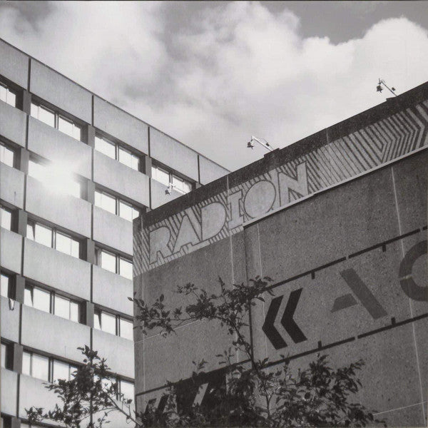 Various : Decennial Revelry (2x12", Comp)