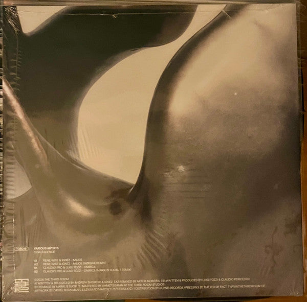 Various : Coalescence (12", EP)
