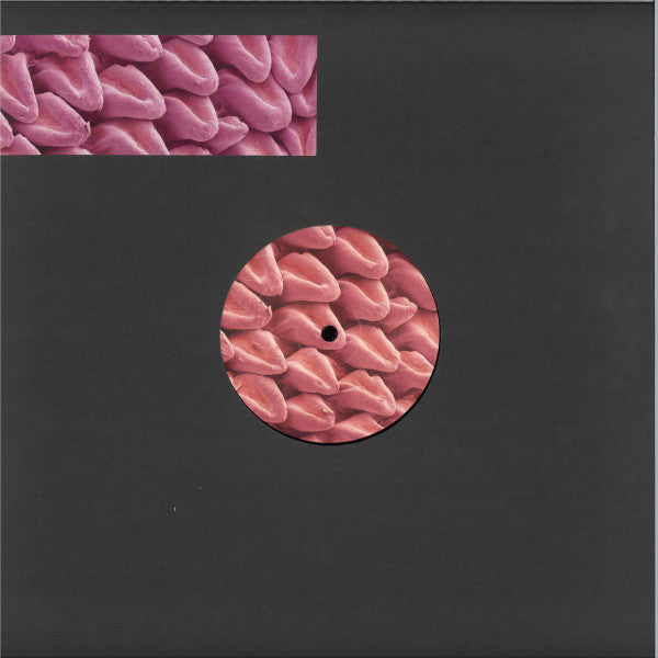 Various : Expansions (12", EP)