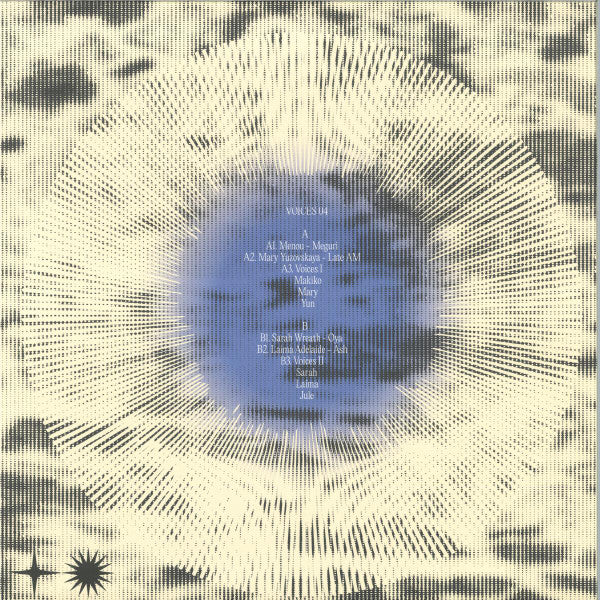 Various : Voices 04 (12", EP)