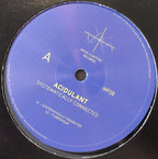 Acidulant : Systematically Connected (12", EP)
