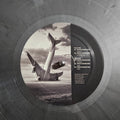 Mattia Dambrosio : Surface EP (12", EP, Gre)