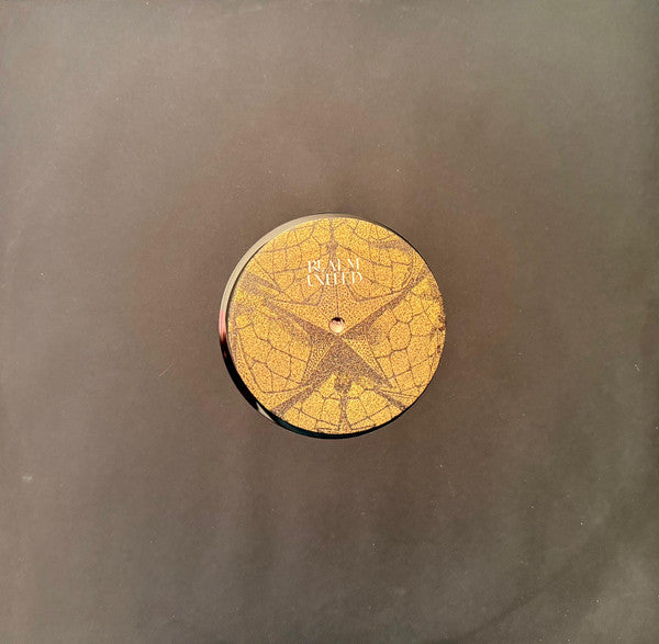 Various : Realm United Part 2 (12", Comp)