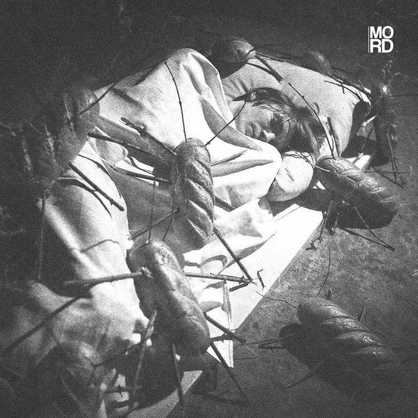 Stanislav Tolkachev : When You Are Not At Home (3xLP, Album)