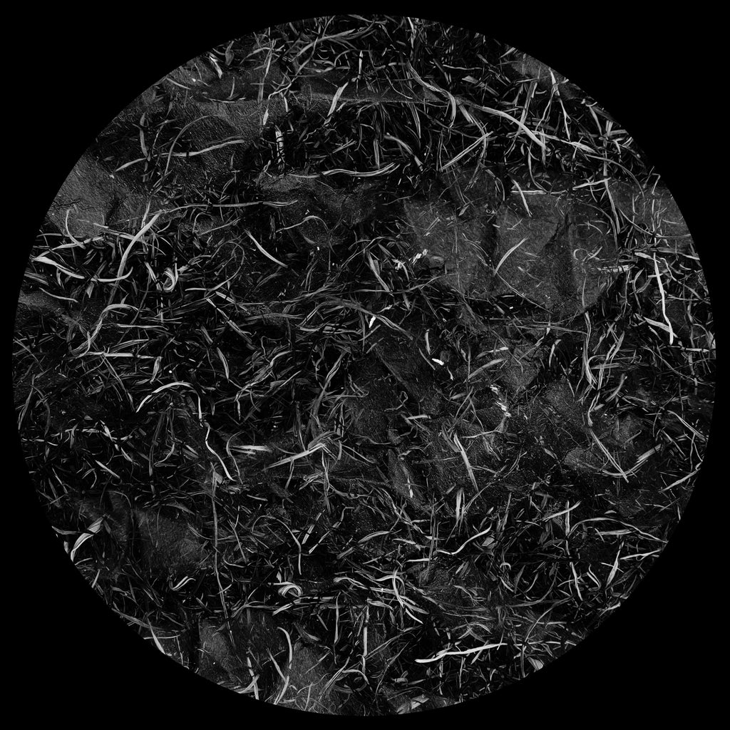 A4 Strangers Inside Us