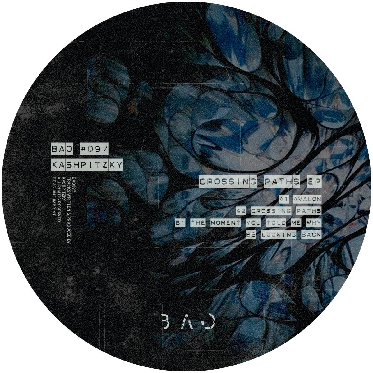 Kashpitzky - Crossing Path (12") (Mint (M))