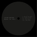 Cosimo Damiano - Breaks The Shell (12") (Mint (M))