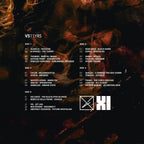 Various - Vault Sessions 11 Years - VS11YRS (5x12") (Mint (M))