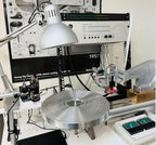 Grabación de Dubplates